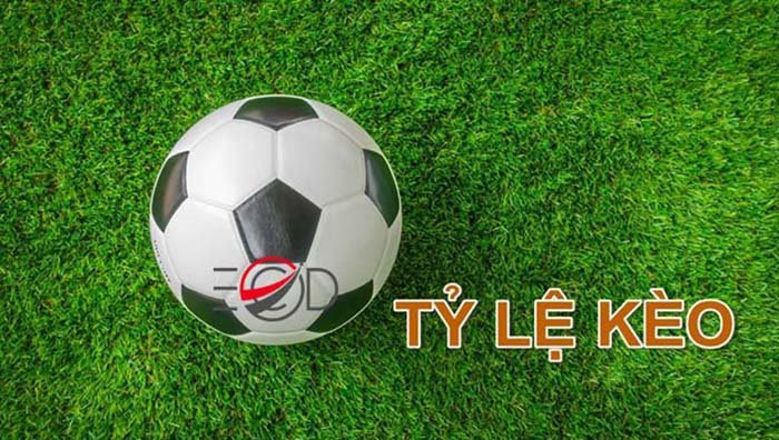 Bật Mí Bí Quyết Đọc Hiểu Tỉ Lệ Kèo New88 - Con Đường Thành Công Trong Cá Cược Bật Mí Bí Quyết Đọc Hiểu Tỉ Lệ Kèo New88 - Con Đường Thành Công Trong Cá Cược
