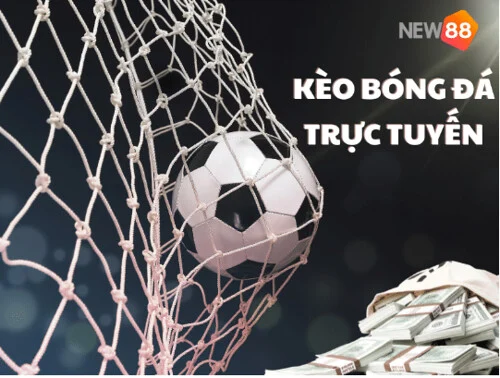 Trực tiếp bóng đá New88 Cơn Lốc Cảm Xúc Thế Giới Cá Cược Thể Thao Trực tiếp bóng đá New88 Cơn Lốc Cảm Xúc Thế Giới Cá Cược Thể Thao